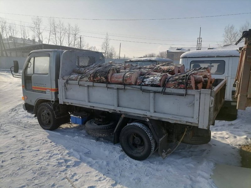 В Забайкалье полицейские задержали «черного» лесоруба