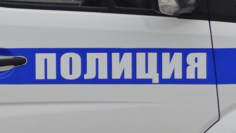 В Чернышевском районе сотрудники полиции установили подозреваемых в краже иномарки и шубы